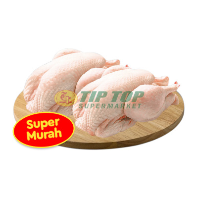 Ayam Karkas 0,6 - 0,7kg