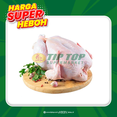 Ayam Karkas Besar 0,8 -0,9kg