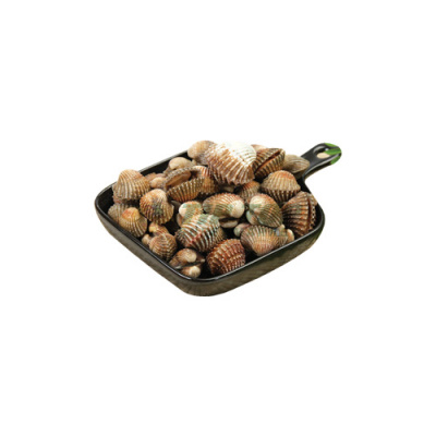 Kerang Dara Utuh