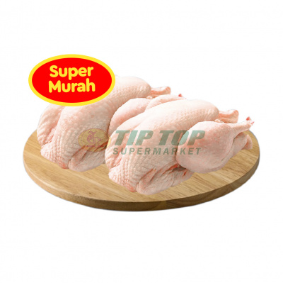Ayam Broiler 0,6 - 0,7kg